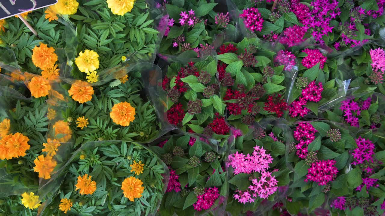 tagetes erecta, la caléndula mexicana, son especies de plantas con flores a la venta en un mercado de flores en hong kong