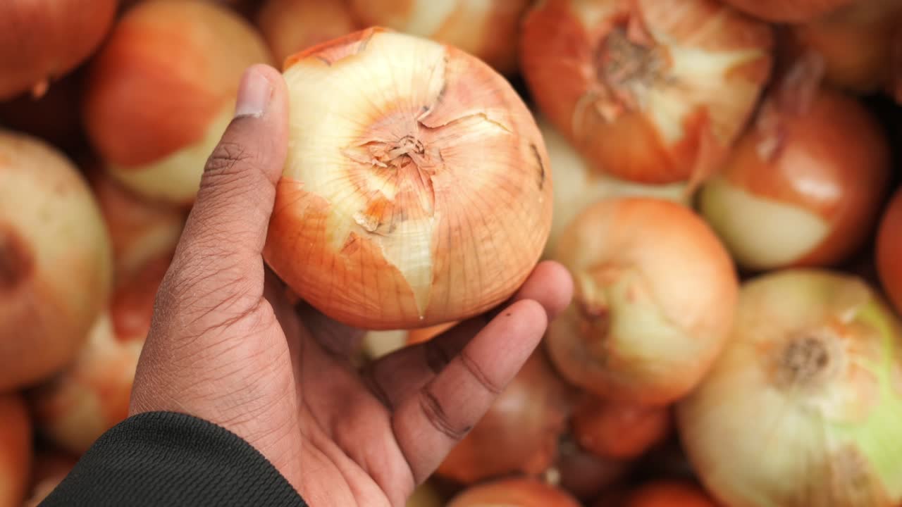 Hand holding a fresh onion