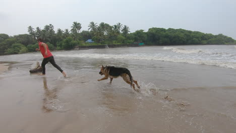 a german shepherd dog running on the beach with his owner