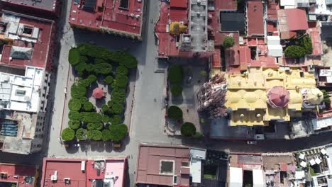 san miguel de allende's colorful buildings and central plaza with lush greenery, aerial view