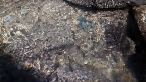 gran toma de fondo en cámara lenta de agua que fluye en un arroyo de montaña a 180 fps