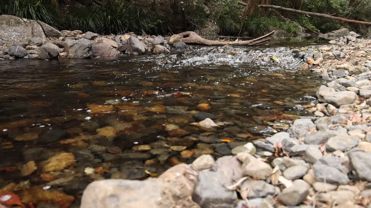 Gentle water stream flowing through a rocky bed