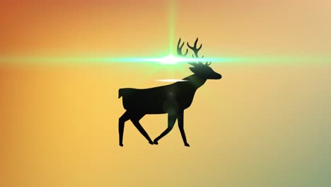 animation of light spots over reindeer walking