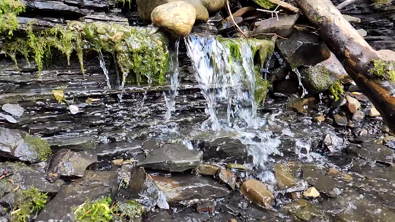 Slow motion water trickle over mossy shale ledge. After a short fall, the water lands on a flat slab and splashes outward in delicate, fan-shaped bursts. The mood is gentle, earthy, and serene