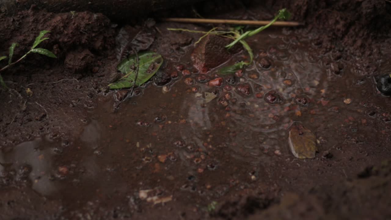 disparo de ángulo alto de mano de gotas de lluvia cayendo en un charco en la naturaleza