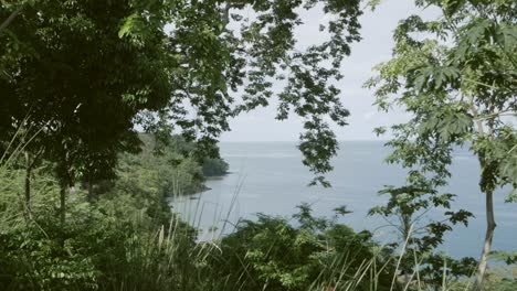 The-Beautiful-View-Of-The-Ocean-From-The-Green-Jungle-Trees-Of-São-Tome-Island---Wide-Shot