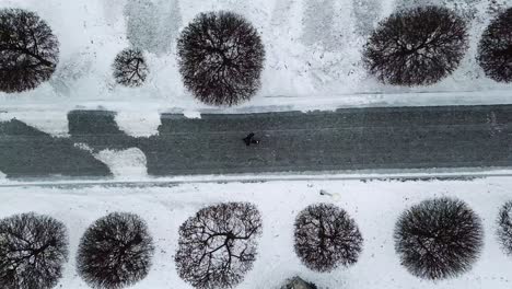 person walking on a snowy city street