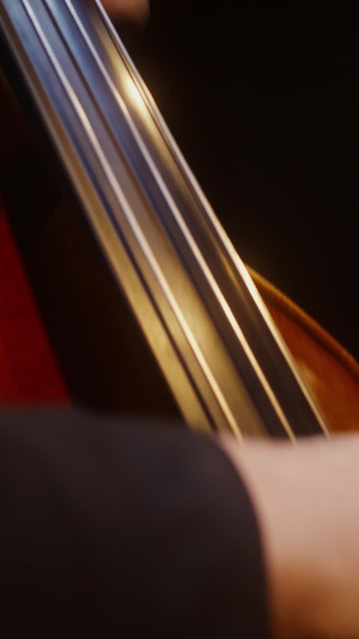 Close-up of a double bass player