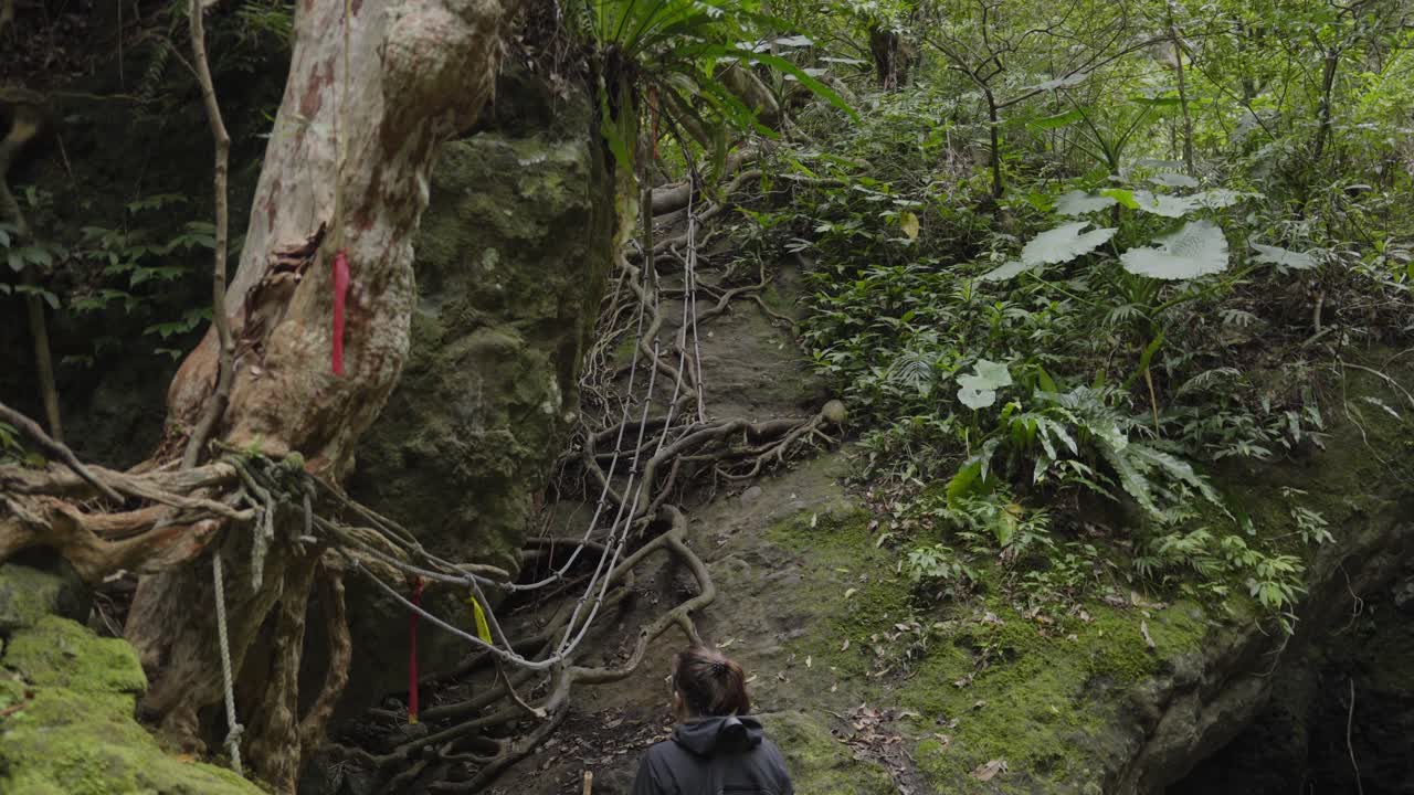 chica mochilera caminando en el bosque verde de la selva taiwanesa