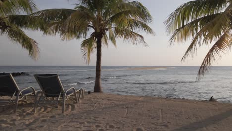 relax tropical en la isla tropical