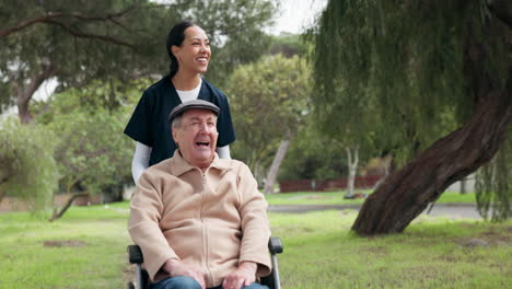 wheelchair, nurse and senior man at park