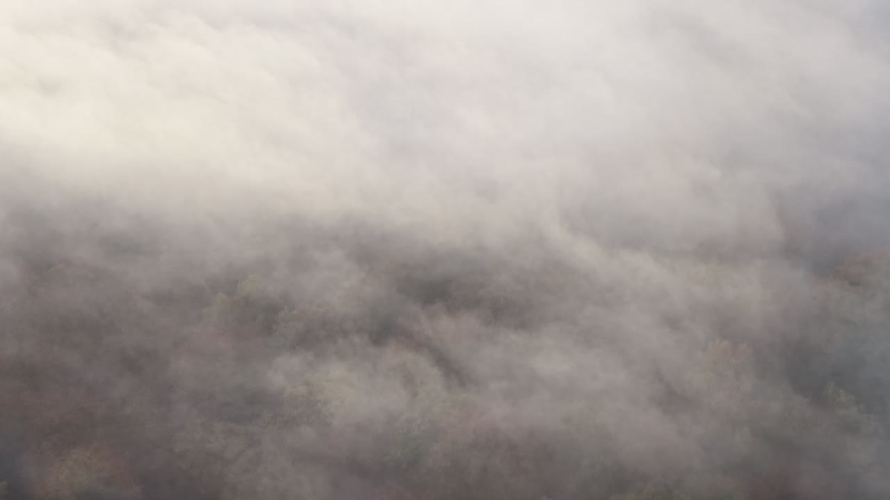 Foggy morning over Epping forest Essex Uk drone,aerial
