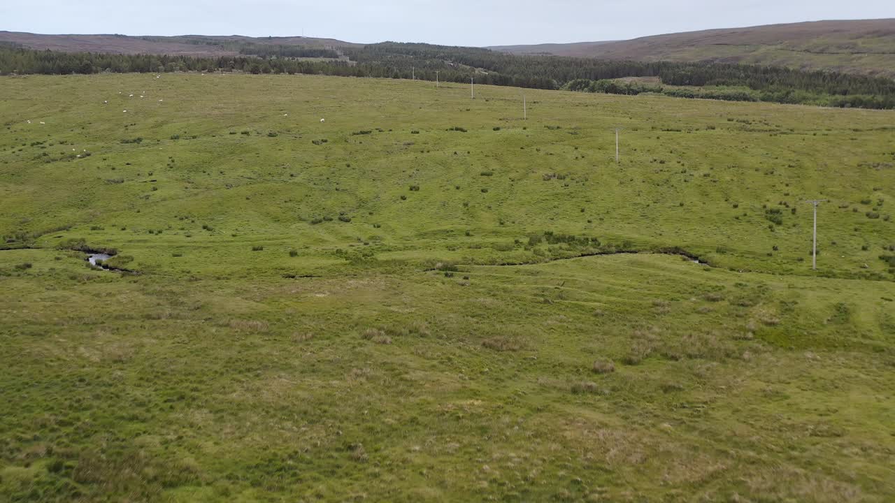 Toma con dron de rebaños de ovejas pastando en las granjas de las Hébridas