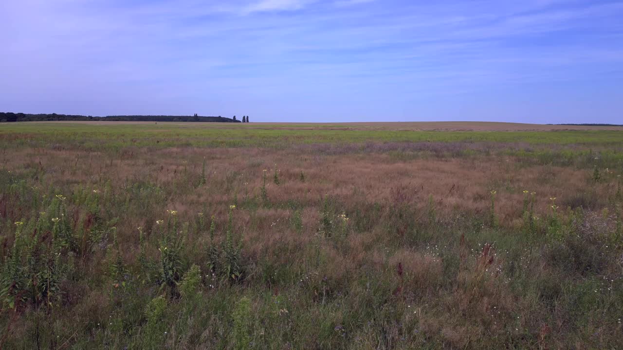 paisaje rural, árboles y campos cultivados. fabulosa vista aérea vuelo sobrevuelo sobrevuelo dron