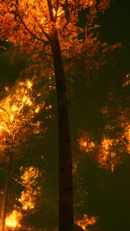 forest fire at night