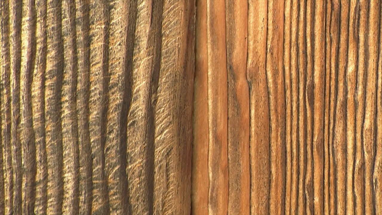 히노키 나무의 풍화 곡물의 클로즈업