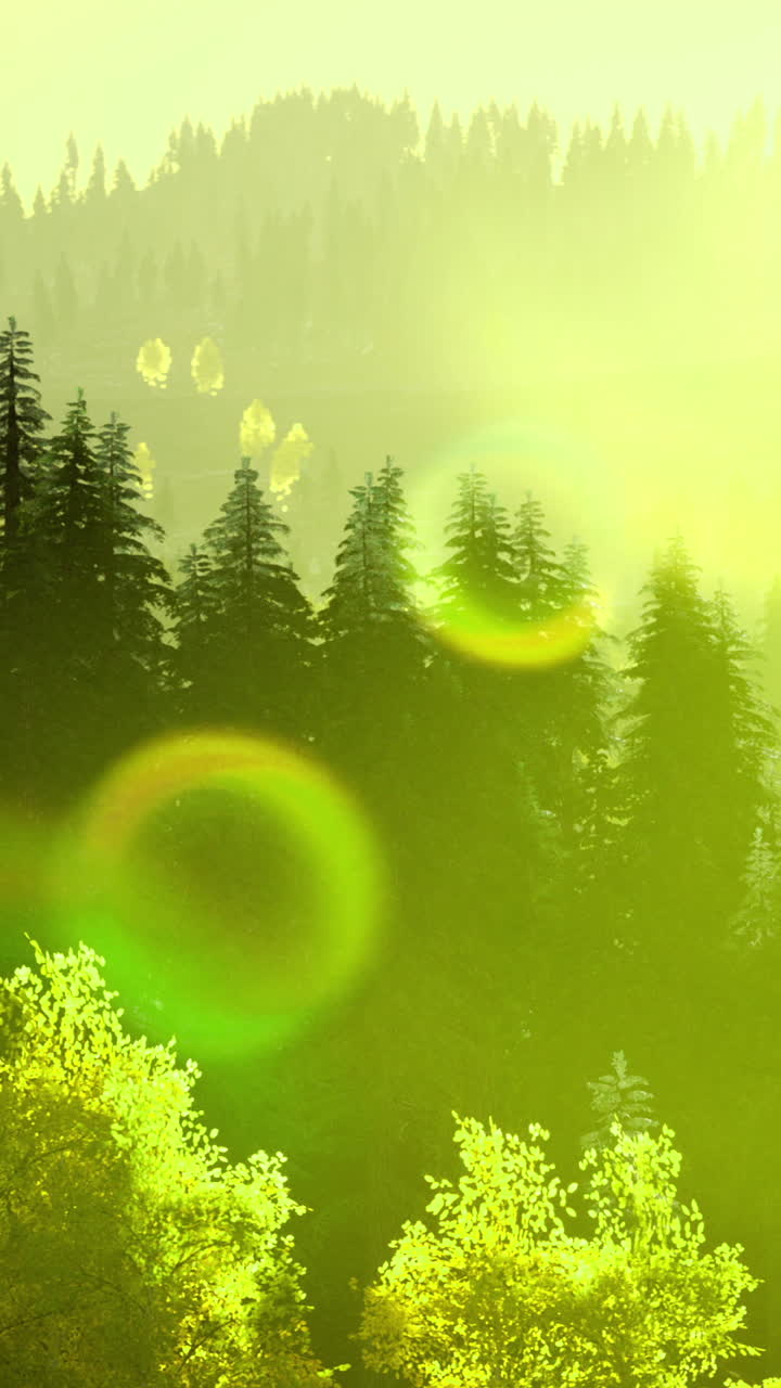 Sunlight filters through vibrant trees in a tranquil forest landscape