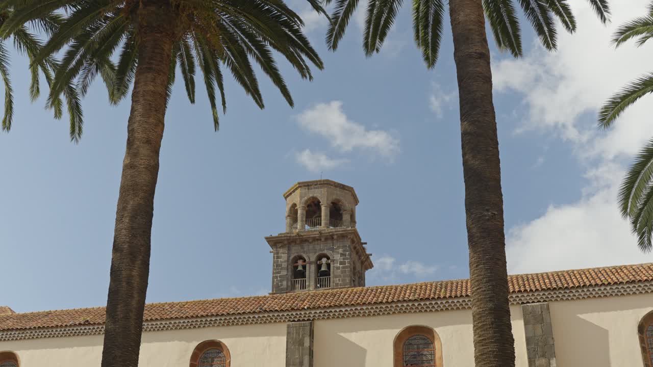 iglesia de la concepción en madrid, españa, tiro de inclinación de mano desde hojas de palma hacia la torre