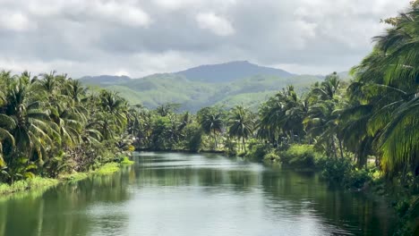 a view of a large, calm river surrounded by coconut trees and beautiful hills in pacitan district, east java, indonesia