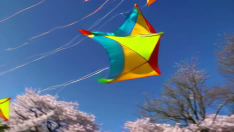 colorful kites flying in a spring sky with cherry blossoms