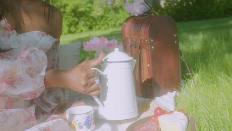 mujer negra sirviendo té en una manta de picnic en el parque de cerca