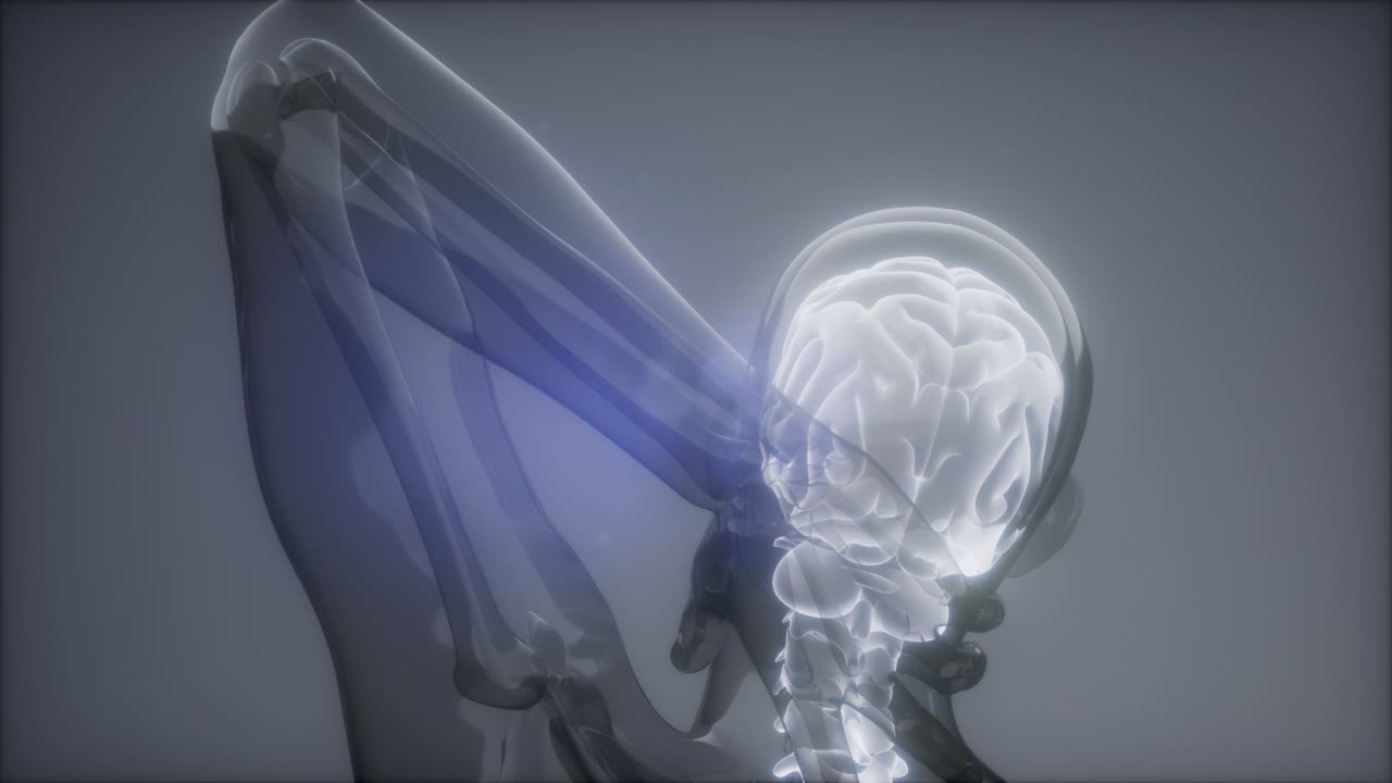 허리  ⁇ 에 허리 통증