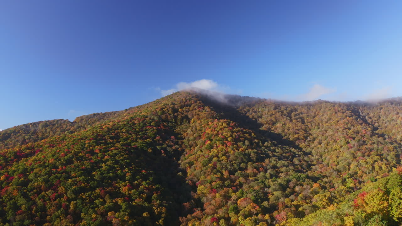 imágenes aéreas de las hermosas montañas humeantes de carolina del norte estados unidos en el otoño con coloridas hojas cambiantes en los árboles