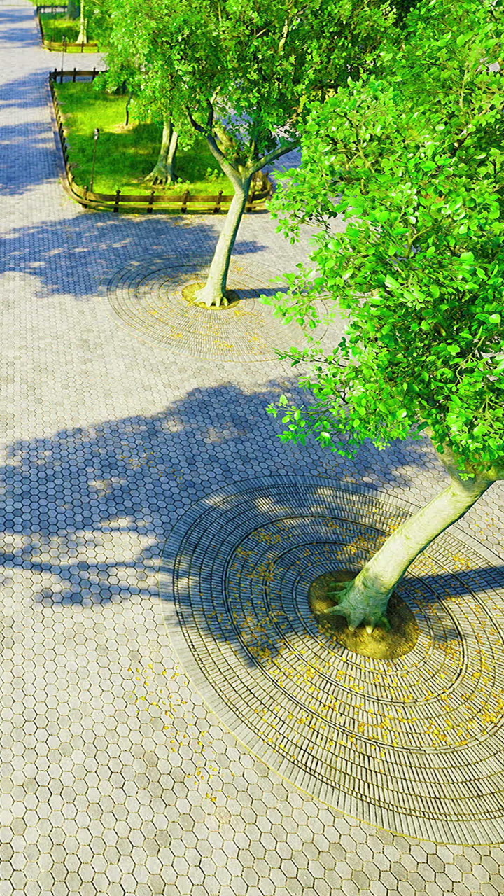 Natures patterns weave through tranquil pathways under the sun