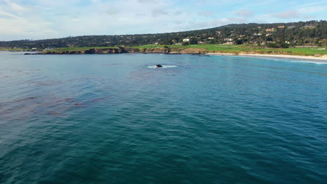 Aerial-view-approaching-a-rock-on-the-coast-of-Pebble-Beach,-in-Monterey,-USA