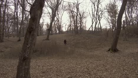 woman scared, alone, lost in a haunted forest creeping along a path trying not to make any noise