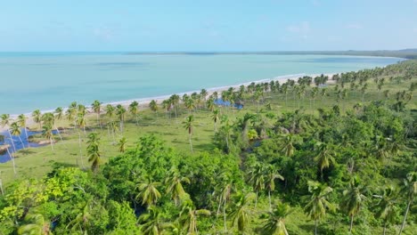 playa bahia esmeralda, miches, dominican republic. aerial shot