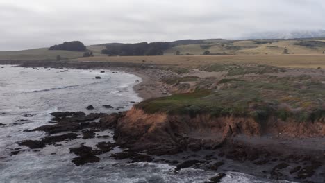 Toma-Panorámica-Aérea-De-Primer-Plano-De-La-Colonia-De-Elefantes-Marinos-Del-Norte-En-San-Simeón,-California