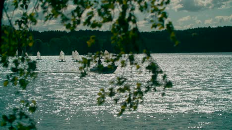 Sailing-boats-and-yachts-moving-on-shimmering-lake-water-waves-rippling-in-sunlight