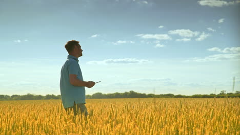 Agronom-in-golden-wheat-field.-Agriculture-science