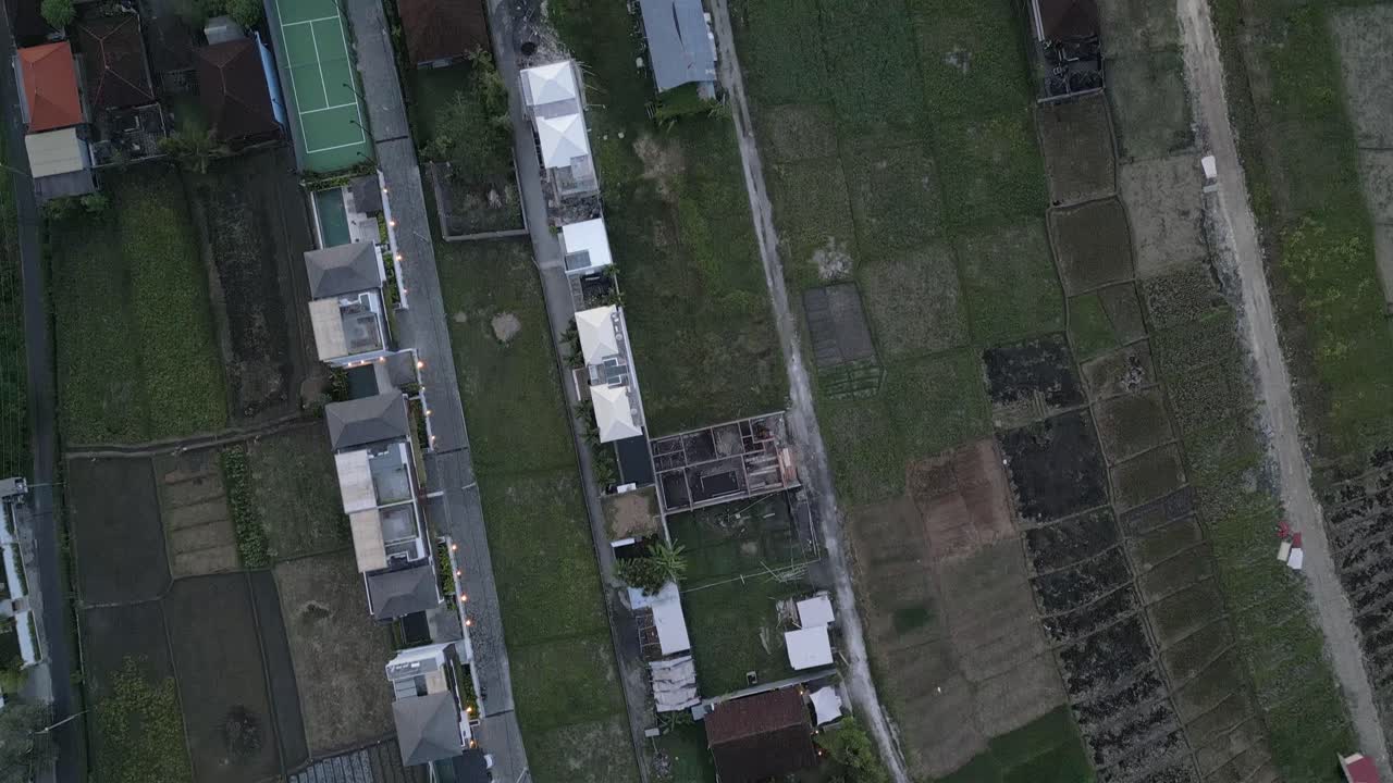 Agriculture fields with green crops in tropical Asia, bird's eye view