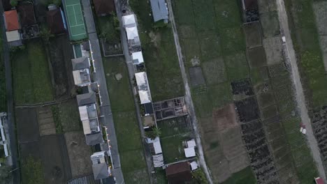 Agriculture-fields-with-green-crops-in-tropical-Asia,-bird's-eye-view