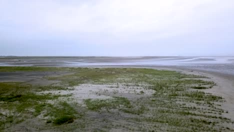 deserted beach with vegetation on the pacific coastline of mompiche in esmeraldas, ecuador