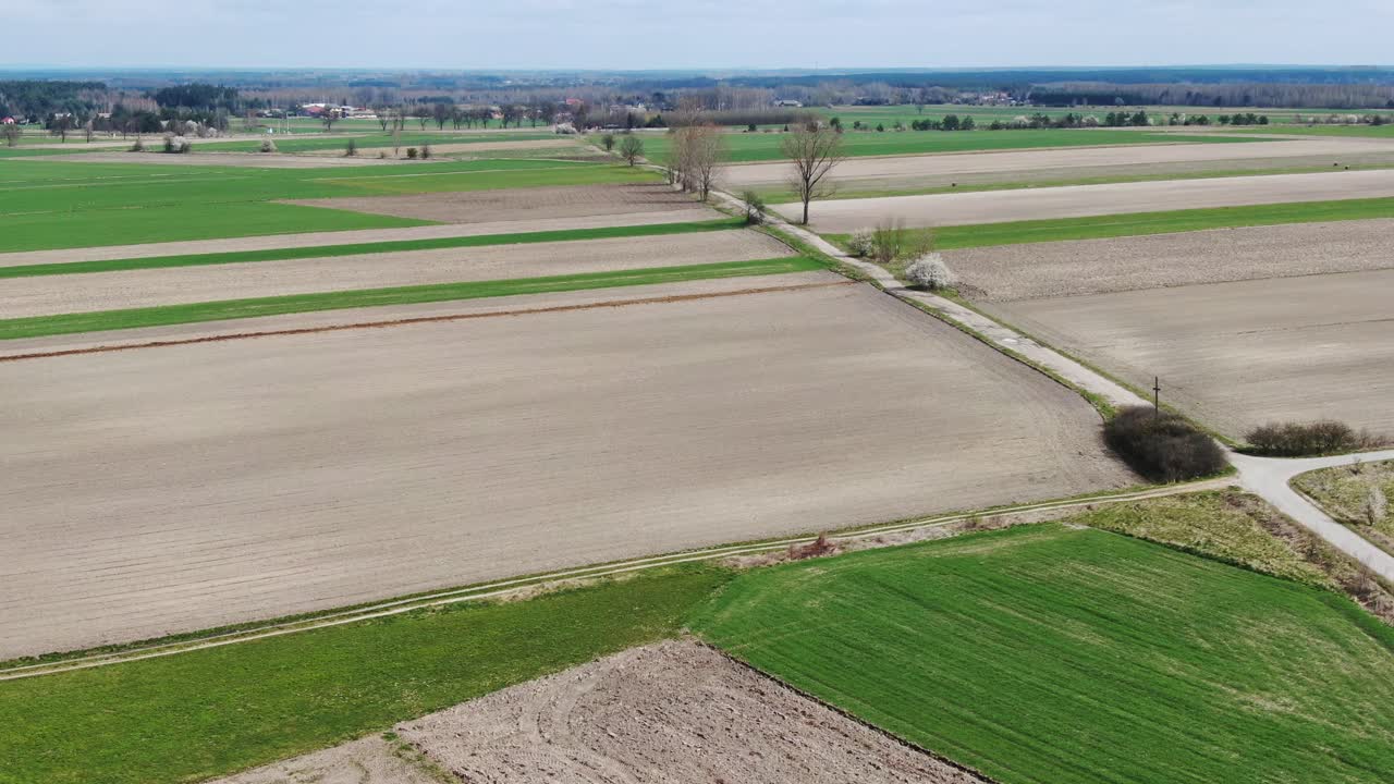 Vast Panorama of the Geometric Patchwork of Agricultural Fields in Rural Poland