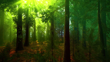 niebla matutina en el bosque de secuoyas gigantes