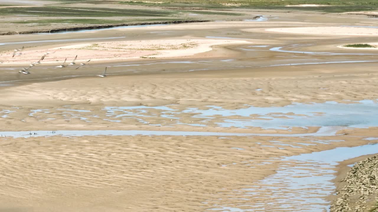 말라붙은 물 없는 호수 위를 날아다니는 새 무리의 가까운 전망