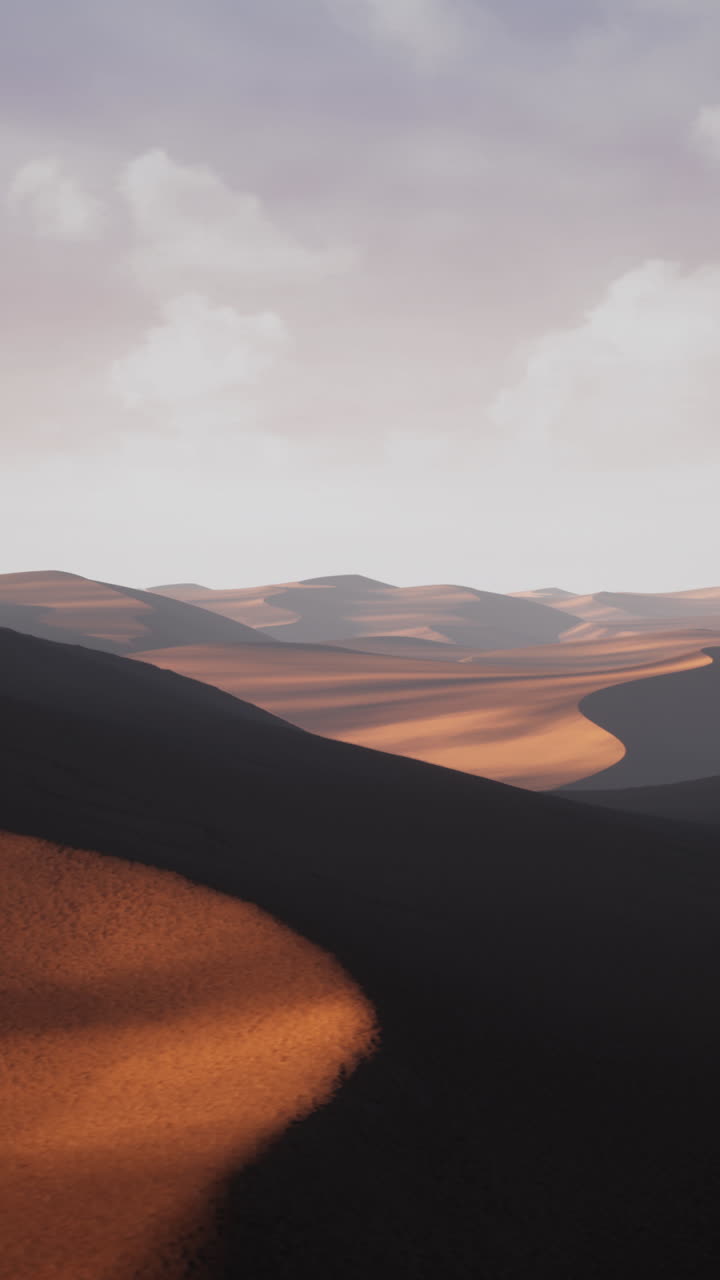 Lo stupendo paesaggio del deserto al tramonto