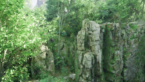 beautiful rocky landscape covered with greenery in a serene environment