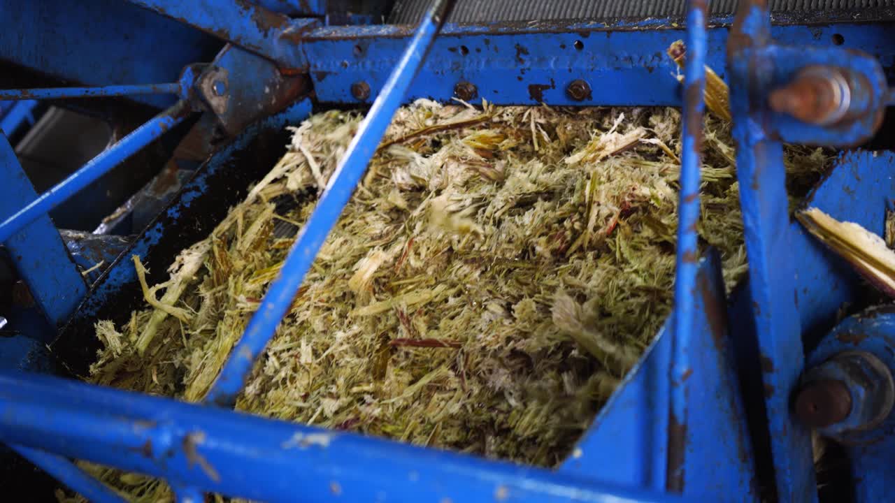 máquina industrial de prensado azul que procesa fibra seca de caña de azúcar