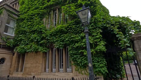 people walking past ivy-covered historic building