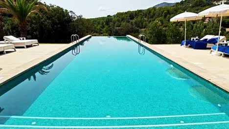 Schöner-Infinity-Pool-Mit-Blick-Auf-Den-Wald