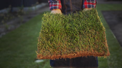 Sideview: The farmer&#039;s hands are holding a piece of land with green grass.