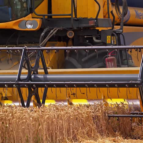 huge mowing machine cuts the ripe wheat spikelets. big yellow combine harvester approaching the camera. spinning mowing mechanism close up