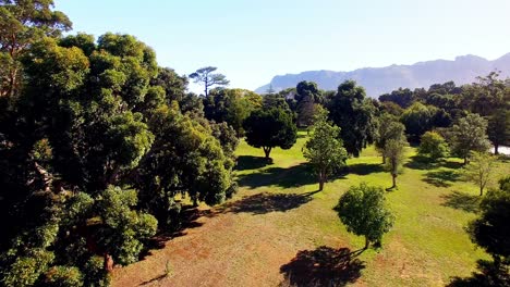 Antenne-Der-Parklandschaft