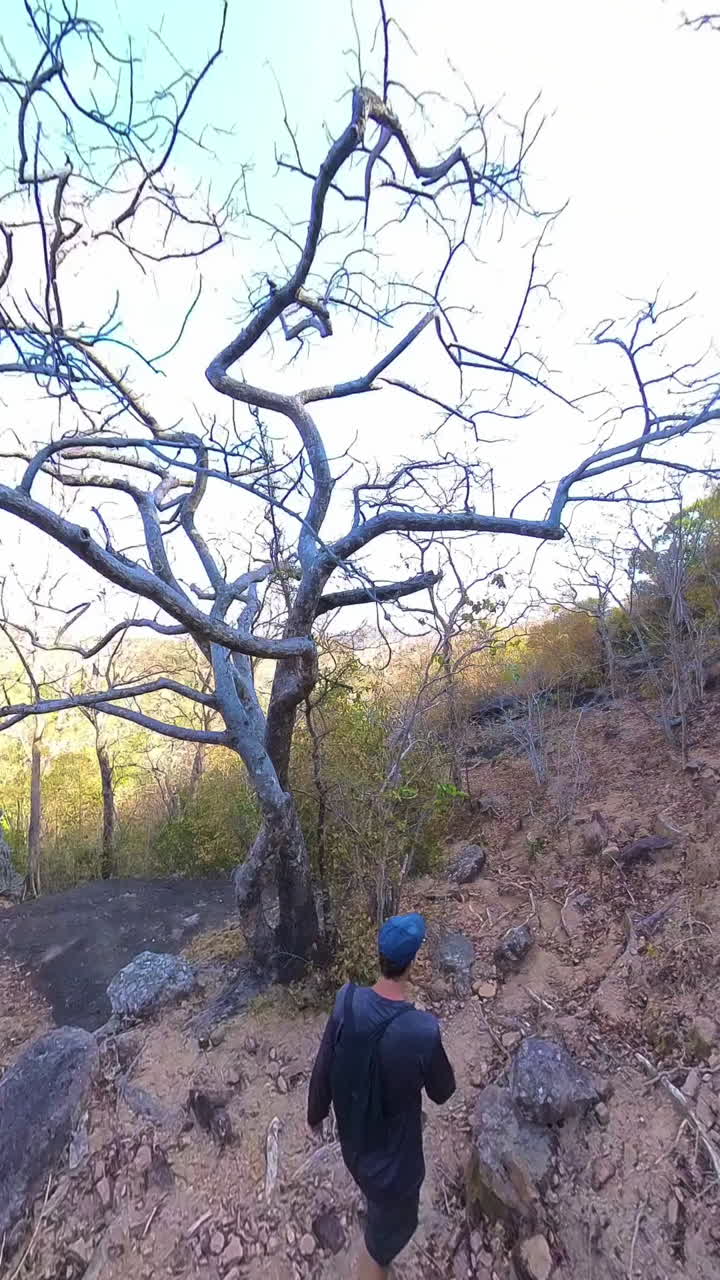 Back view of hiker walking deeper into wooded terrain with branches arching overhead, vertical tracking