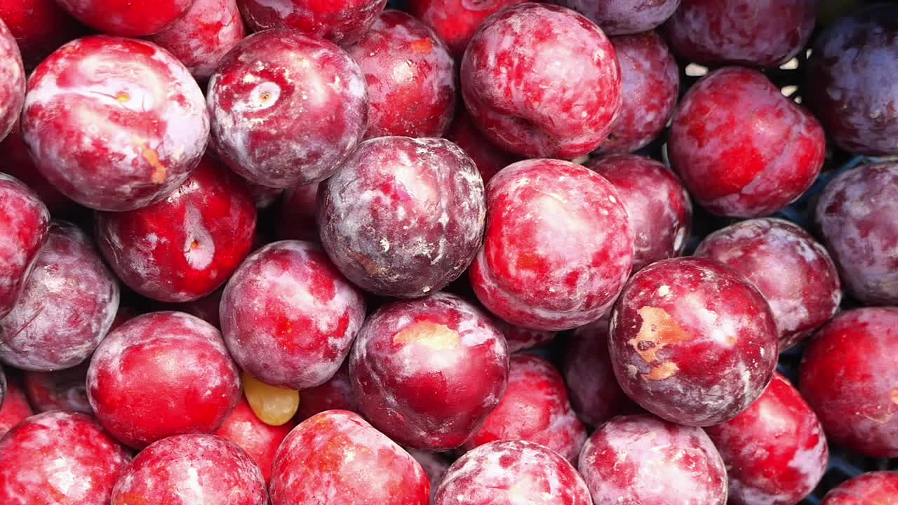 Fresh red plums